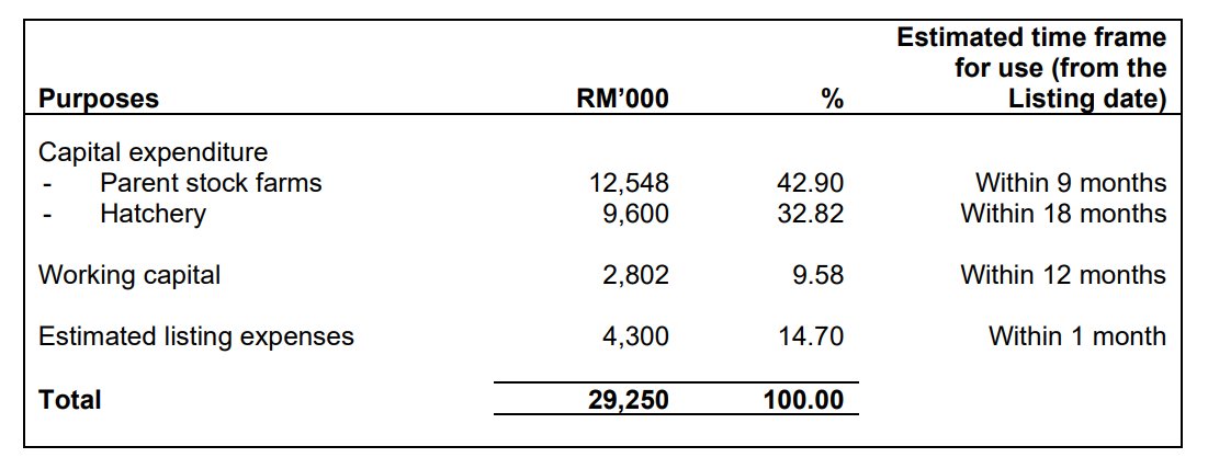 Pro Insight Image 12