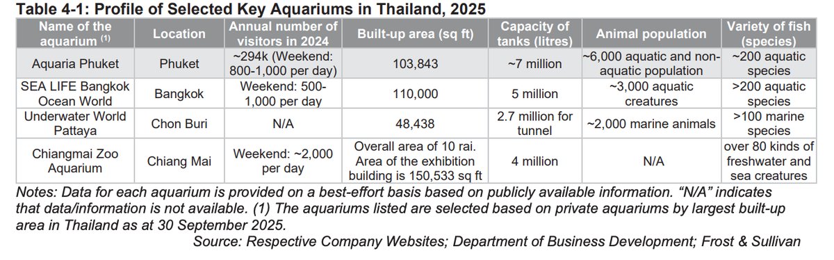 Pro Insight Image 23